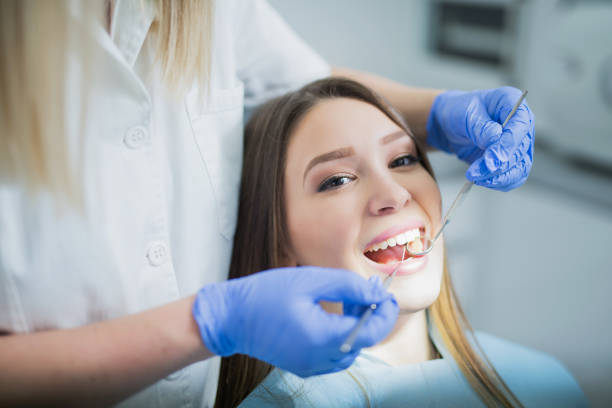 Professional Dental Services in East Lake, FL